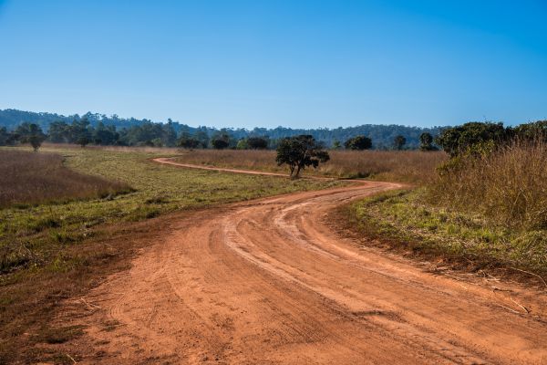 Dirt Driveway Repair in Brighton