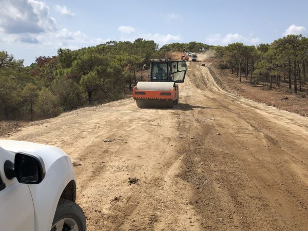 Cost of Driveway Grading in Brighton