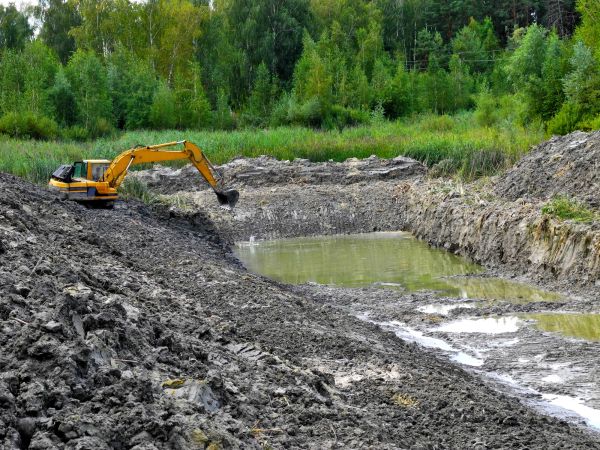 Cost of Fish Pond Digging in Brighton