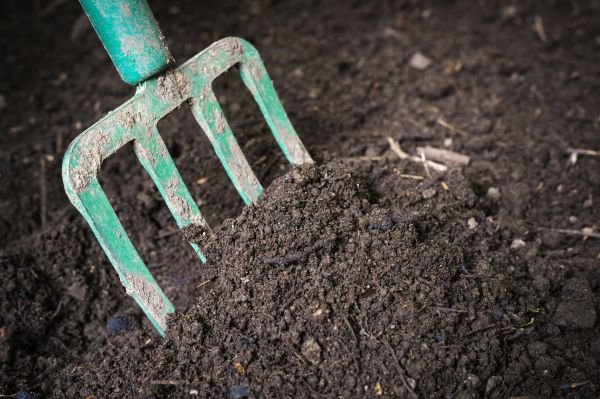 Topsoil Spreading in Brighton