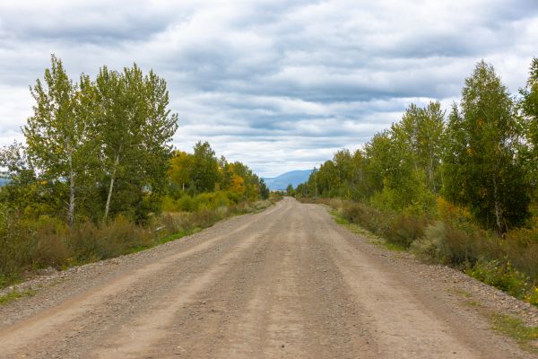 Dirt Road Repair in Brighton