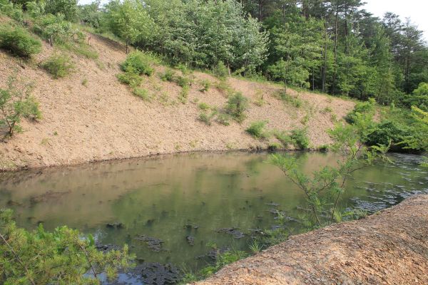 Pond Erosion Repair in Brighton
