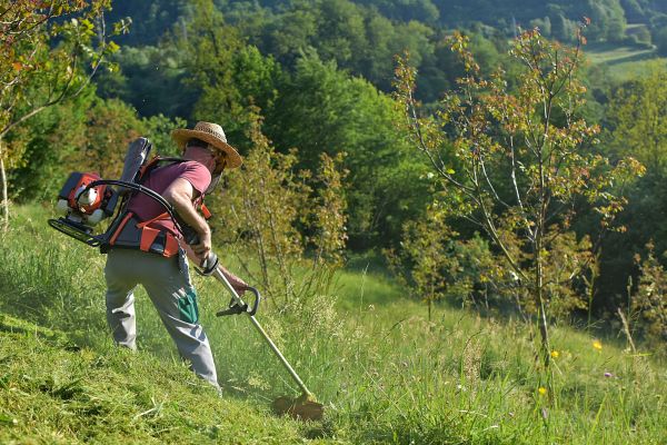 Cost of Slope Trimming in Brighton