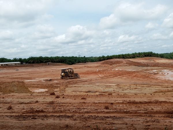 Cost of Land Preparation Service in Brighton